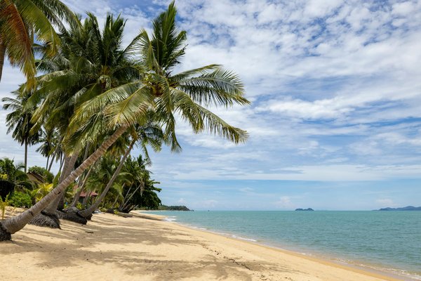 Mostbet cz vaše brána k nejlepším sázkovým zážitkům