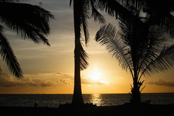 Casino Coolbet — el referente en juegos de azar digitales