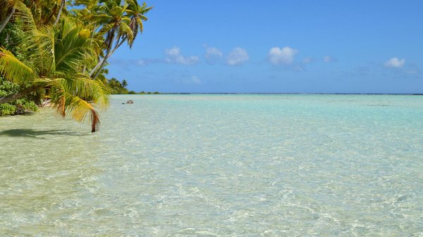 Polskie Kasyno Online Legalne ️ Lista Legalnych Kasyn Internetowych PL 2025