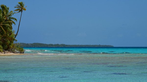 CasinomHub Özel Fırsatlar ve Özel İmkanlar: Türkiye kapsamındaki Bahis severler İçin Eksiksiz Paketlerin Derinlemesine Yorumu