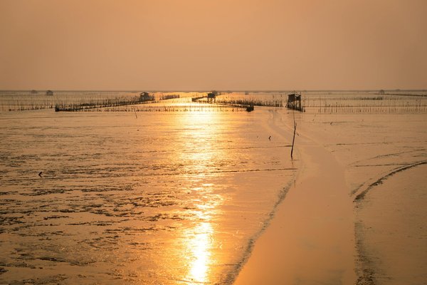 Gioco Plinko nei casin online in Italia.1521