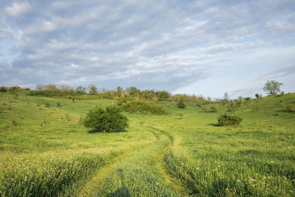 online pokies – online gaming for Australian users