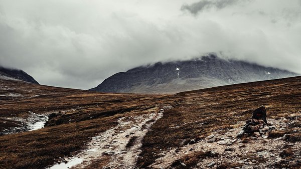 Kruip onder de veren Spannend gokken met de kip op de weg