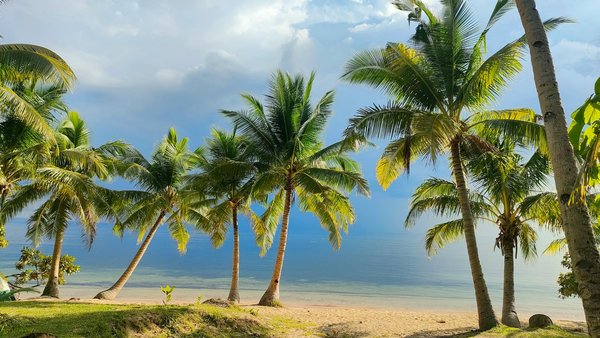 BahisKolik Bahis Uygulaması