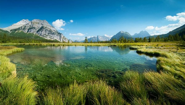 Panduan Praktis  Permainan Togel KOITOTO  bersama KOITOTO