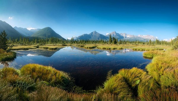 Gates of Olympus Casino Incelemesi: Güvenilirlik ve Oyun Yelpazesi