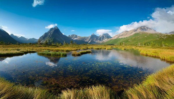 Искусство наслаждаться азартом погрузитесь в мир, где азарт и водка казино зеркало создают неповтори