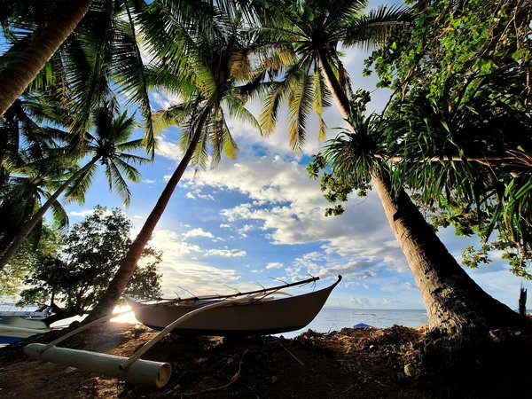 Tipobet Casino Giriş — Tipobet Güncel Giriş 2025 — Tipobet.3754