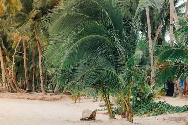 MostBet sitesi: güvenli Bir online casino yaşantı sunan Anadolu kökenli ortamı