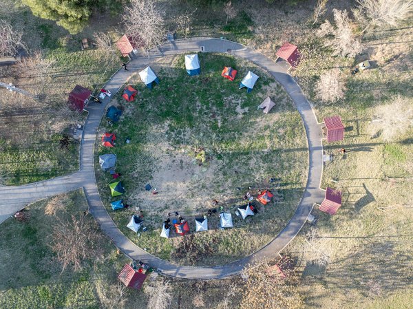 Could the Chicken Road Demo Become Your Next Favorite Slot Experience