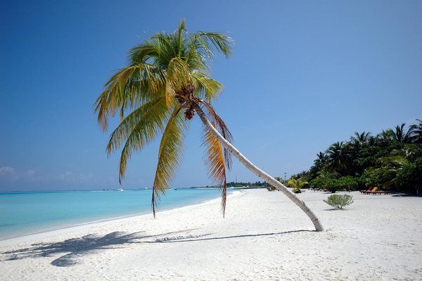 Doradobet Peru - guía local para apostar en soles en Lima y provincias