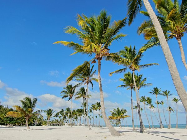 sitio de apuestas Coolbet — el referente en juegos de azar digitales