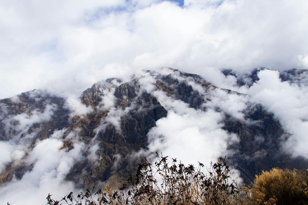 Betify Online Experience Unmatched Excitement and Unforgettable Wins