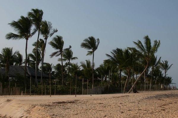 поединок Усик – Дюбуа в июле 2025 года: прямая трансляция в хорошем качестве, мнения фанатов, что известно