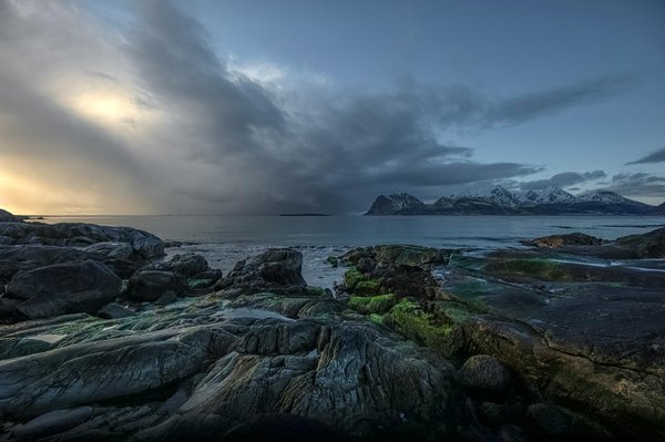 770 Casino en ligne  tournois et jackpots progressifs.387