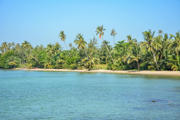 Basswin online casino bonuses and promotions.674