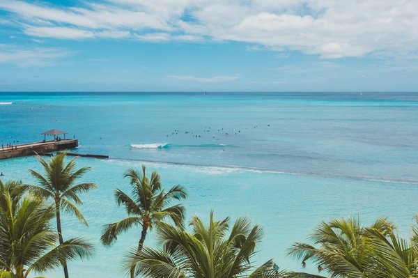 Cosmo Online Casino in Australia Demo and Real Play.672