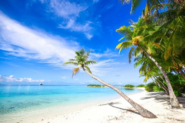 A world of vibrant gaming awaits, where the Yukon gold app elevates your adventure with incredible b