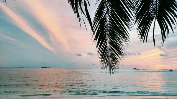 A thrilling dance of chance unfolds, leaving players wondering if plinko is legit for those seeking
